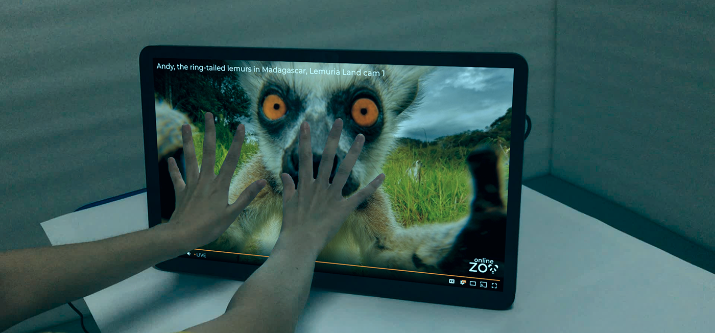 lemur on screen
