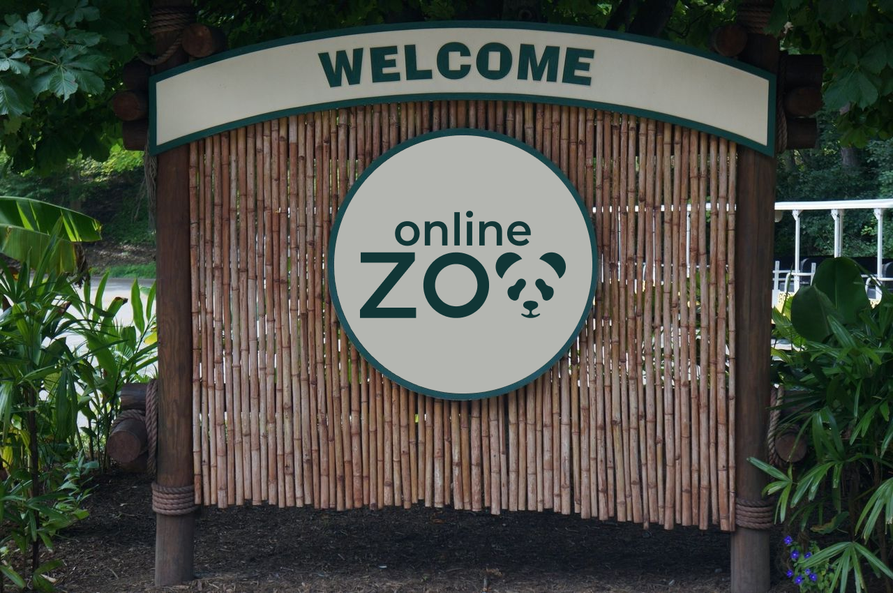 welcome zoo banner